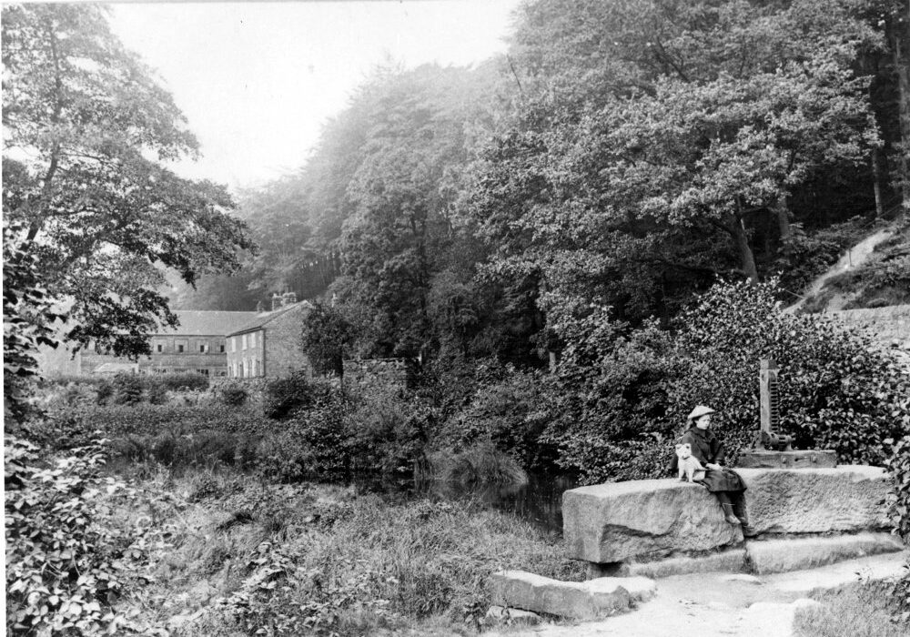 The New Dam weir (clearly overgrown) with Roscoe Wheel and cottages behind (undated). The shuttle mechanism on the inlet to the head goit, with roller and capstan, is mounted on the stones beside the girl. Sheffield City Council, Libraries Archives