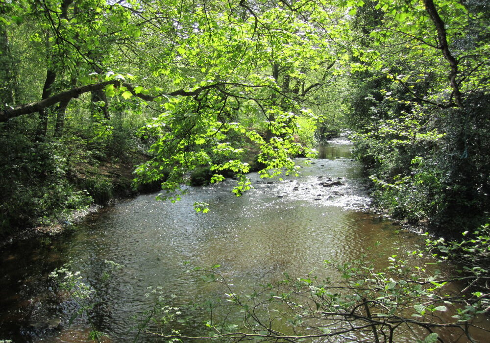 A wide and shallow stretch of river runs alongside the dam wall at Havelock Dam. Photo: Sue Shaw, May 2014.