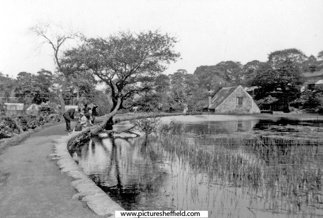Holme Head Wheel and mill dam in about 1931. Sheffield City Council, Libraries Archives and Information: www.picturesheffield.co.uk Image y00553. Greenhouses can be seen to the left, on the opposite bank of the river, in an area that was once used as a market garden.