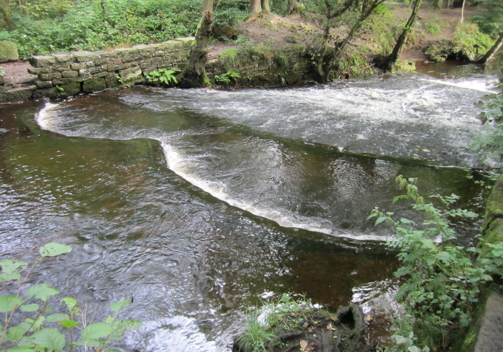 The unusual Roscoe weir, with its double-arc top kerb and long slope. [Photo: Sue Shaw, September 2013]