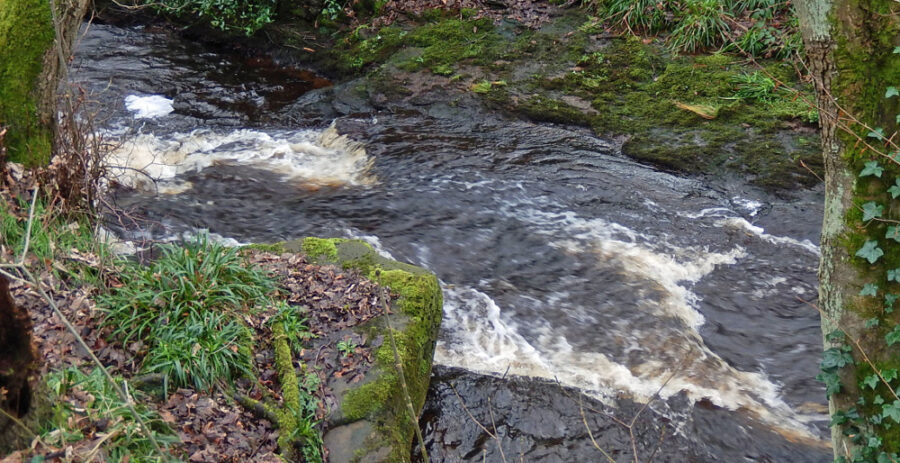 A natural water slide in the river near Swallow Wheel. Photo: Sue Shaw, January 2016.