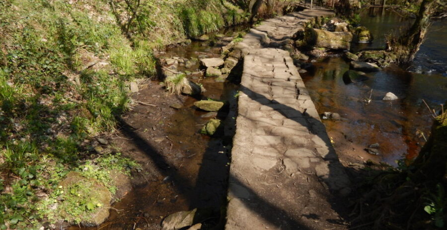 The Wolf Wheel tail goit runs into the river just above the Swallow weir, with the footpath on a ‘causeway’ between the two. Photo: Sue Shaw, April 2015.