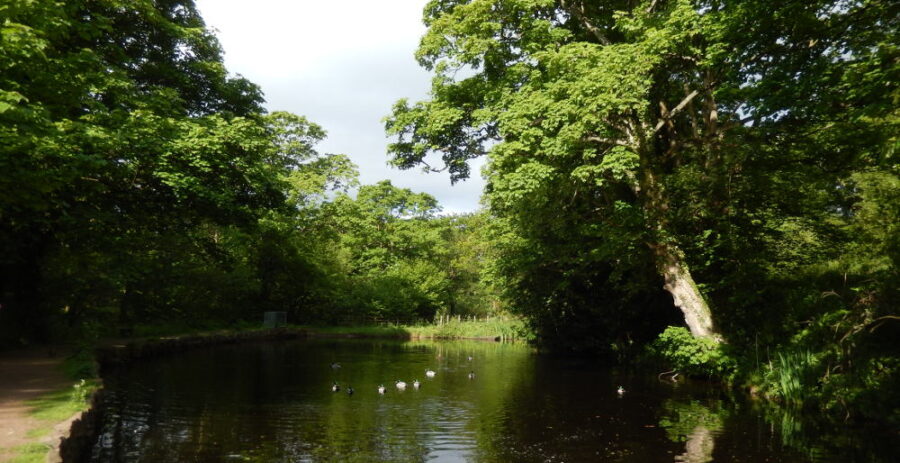 Mill dam at Rivelin Corn Mill [Photo: Sue Shaw, May 2015]