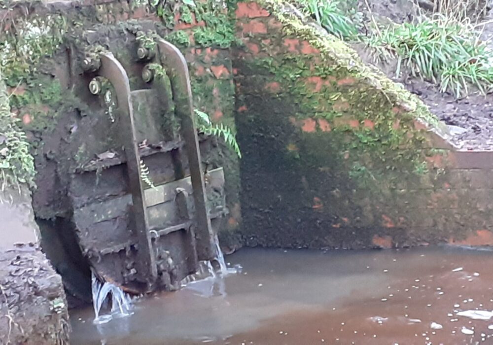 The Combined Sewer Overflow (CSO) from Crosspool, just above Holme Head weir. Photo: Sue Shaw 2020.
