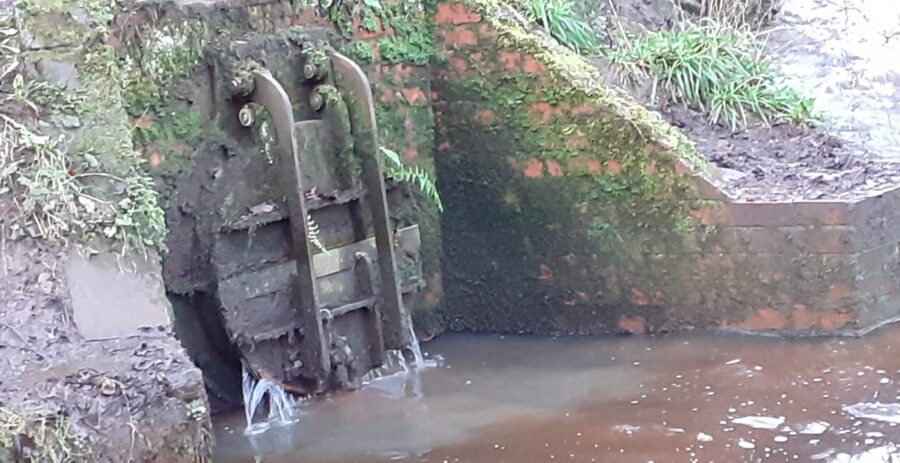The Combined Sewer Overflow (CSO) from Crosspool, just above Holme Head weir. Photo: Sue Shaw 2020.