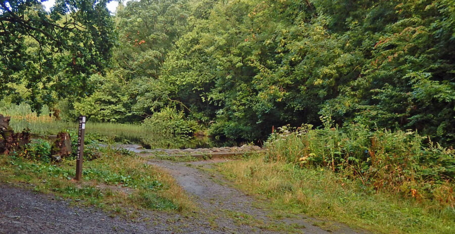 The site of Nether Cut Wheel, with mill dam behind. Photo: Sue Shaw, August 2016