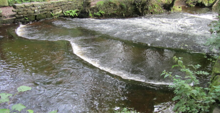 The unusual Roscoe weir, with its double-arc top kerb and long slope. Photo Sue Shaw, September
2013