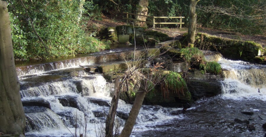 3Copp weir_Roger Kite DSCF4674 The Third Coppice weir is a natural waterfall raised by a single course of stone blocks stapled
together. Photo: Roger Kite, February 2011