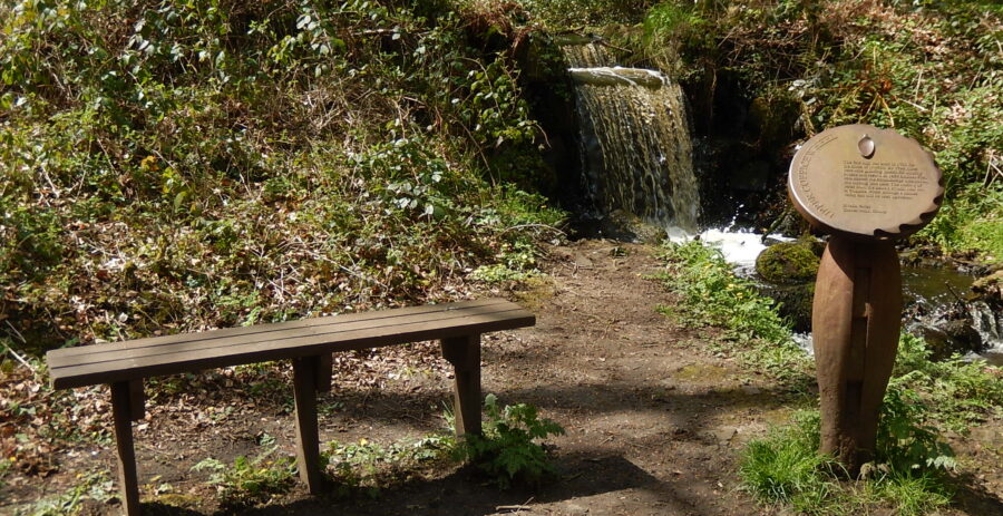 Site of Upper Coppice Wheel, where water cascades from the mill dam into the former wheel pit.
Photo: Sue Shaw, May 2016.