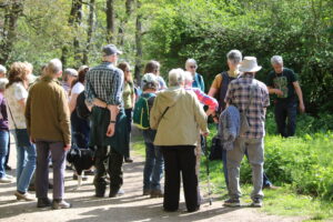 Guided plant walk through the Rivelin led by Gerry Firkins April 2026. Photography by Mark Bateman